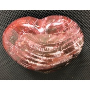 BOIS FOSSILE COEUR 465 gr