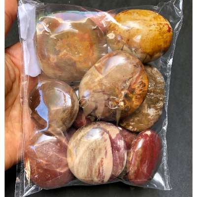 BOIS FOSSILE GALET sachet de 500g