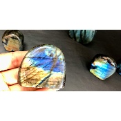 LABRADORITE Forme Libre Polie Lot de 11 pièces