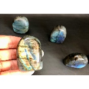 LABRADORITE Forme Libre Polie Lot de 12 pièces