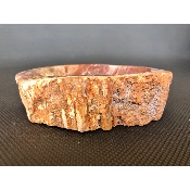 BOIS FOSSILE VIDE-POCHE 715g