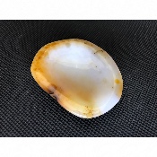 AGATE CENDRIER 195 gr