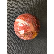 BOIS FOSSILE BOULE 675 gr