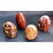 BOIS FOSSILE FORME LIBRE Lot de 4 pièces