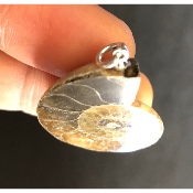 AMMONITE PENDENTIF 