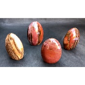 BOIS FOSSILE FORME LIBRE Lot de 4 pièces