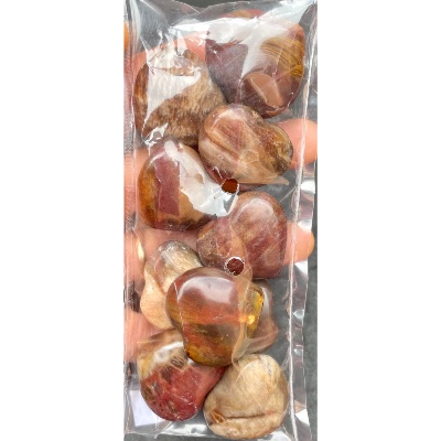 BOIS FOSSILE COEUR Lot de 10 Pièces