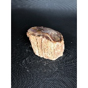 BOIS FOSSILE TRONC 685 gr