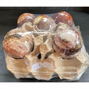 BOIS FOSSILE BOULE Lot de 5 pièces