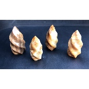 ARAGONITE FLAMME Lot de 4 pièces