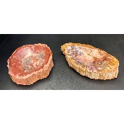 BOIS FOSSILE CENDRIER Lot de 2,88 Kg