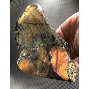 LABRADORITE DORÉE MULTICOLORE UNE FACE POLIE 1360 gr