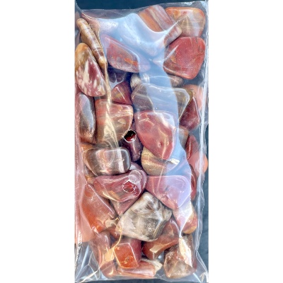 BOIS FOSSILE ROULÉ Lot de 250g