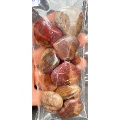 BOIS FOSSILE COEUR Lot de 10 Pièces