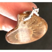 AMMONITE PENDENTIF 