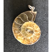AMMONITE PENDENTIF 