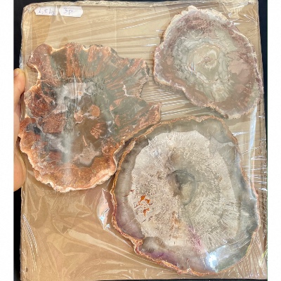 BOIS FOSSILE PLAQUE Deux Faces Polies Paquet de 1500g