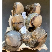 SEPTARIA OEUF Lot de 1150g