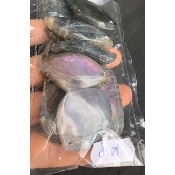 LABRADORITE PENDENTIF violet-multicolore 10 Pièces