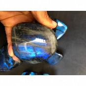 LABRADORITE bleue FORME LIBRE polie Lot de 9 pièces 