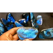LABRADORITE bleue FORME LIBRE polie Lot de 12 pièces 