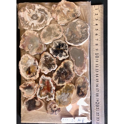 BOIS FOSSILE PLAQUE 02 Faces Polies Paquet de 500g