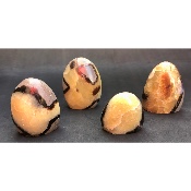 SEPTARIA FORME LIBRE lot de 4 pièces