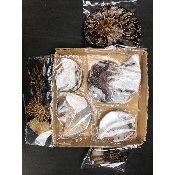 AMMONITE SCIÉE Lot de 1460 g