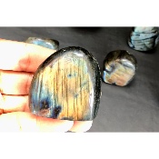 LABRADORITE Forme Libre Polie Lot de 11 pièces
