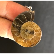 AMMONITE PENDENTIF 
