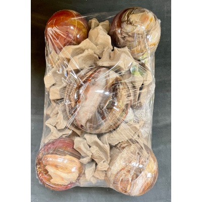 BOIS FOSSILE BOULE Lot de 3,39 kg