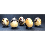 SEPTARIA Jaune OEUF Lot de 5 Pièces