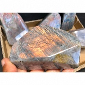 LABRADORITE dorée-violette Entièrement POLIE Lot de 7 pièces