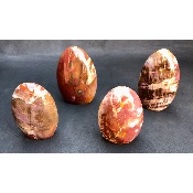 BOIS FOSSILE FORME LIBRE Lot de 4 pièces