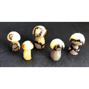 SEPTARIA CHAMPIGNON lot de 5 pièces