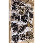 QUARTZ ARC-EN-CIÈL BRUT lot de 15 pièces