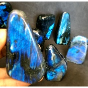 LABRADORITE bleue FORME LIBRE polie Lot de 12 pièces 