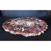 BOIS FOSSILE PLAQUE 7480 gr