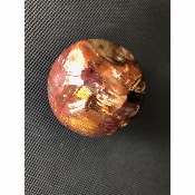 BOIS FOSSILE BOULE 675 gr