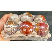 BOIS FOSSILE BOULE Lot de 5 pièces