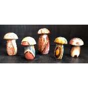 JASPE IMPRIMÉ CHAMPIGNON Lot de 5 pièces