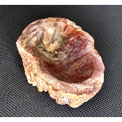 BOIS FOSSILE VIDE-POCHE 715g