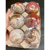BOIS FOSSILE BOULE Lot de 5 pièces