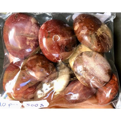 BOIS FOSSILE GALET sachet de 500g