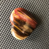 BOIS FOSSILE COEUR 21 gr