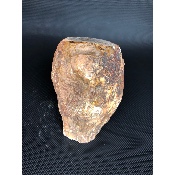 BOIS FOSSILE TRONC 2370 gr