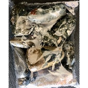 JASPE ORBICULAIRE FORME LIBRE lot de 1Kg