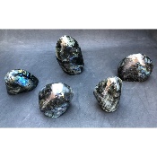 LABRADORITE FORME LIBRE Entièrement POLIE Lot de 2,71 kg