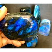 LABRADORITE bleue FORME LIBRE polie Lot de 12 pièces 