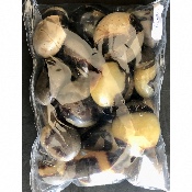 SEPTARIA GALET sachet de 500g